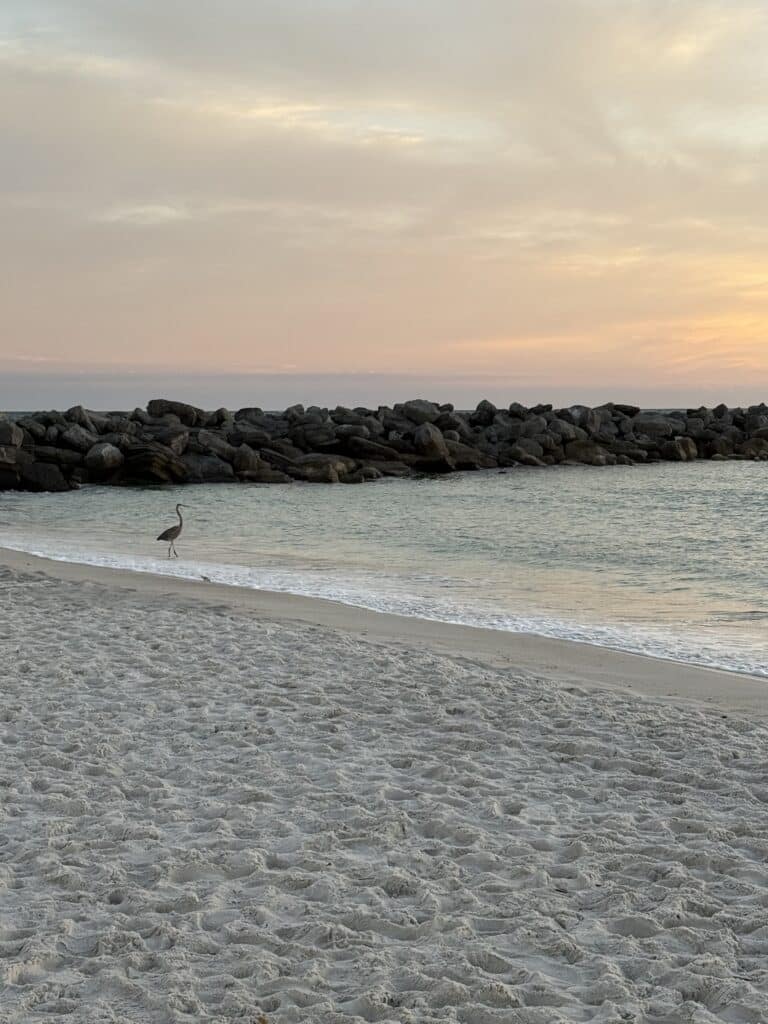 The Jetties at St. Andrews State Park