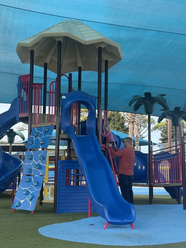 Playground at Frank Brown Park