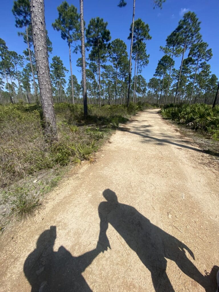 Walk in Conservation Park